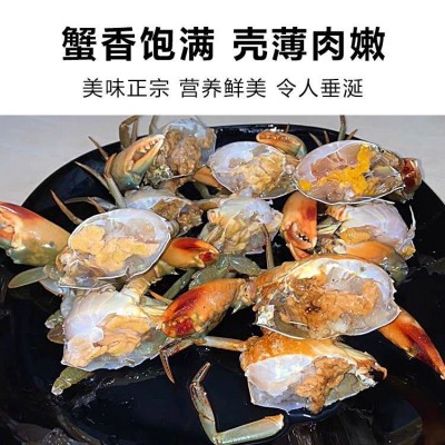 野生青蟹海捕小青蟹鲜活公蟹母蟹红黄膏蟹批发产特大活体海螃蟹图3