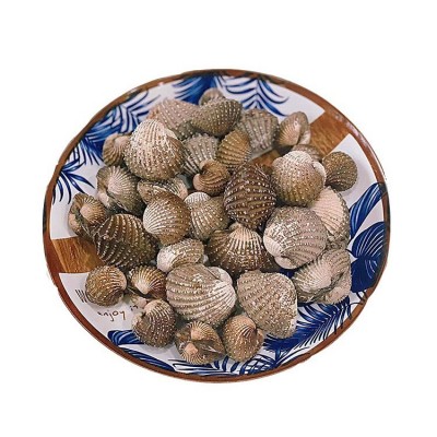 潮汕血蛤批发 鲜活带泥赤贝蛤蜊毛蛤刺身水产贝类海鲜餐饮供应