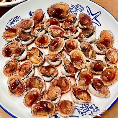 潮汕血蛤批发 鲜活带泥赤贝蛤蜊毛蛤刺身水产贝类海鲜餐饮供应图4