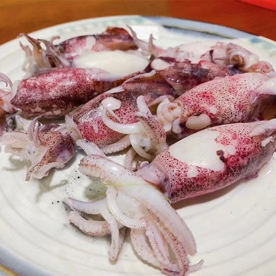 新鲜小鱿鱼批发 海捕冷冻小海兔小管乌贼八两装一口鱿餐饮供应图3