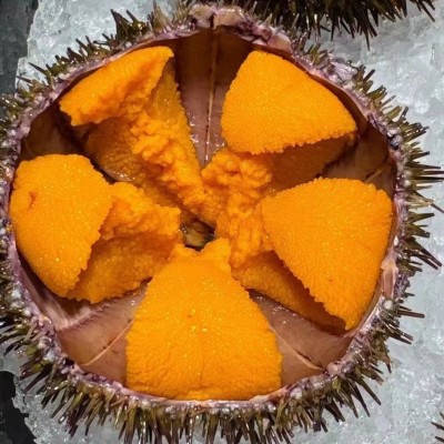 速冻海胆马粪海胆 板胆海胆炒饭刺身即吃海胆大连黄胆100克/盒图2