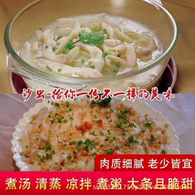 沙虫新鲜鲜活去内脏海人参方格星虫海虫子海肠子200g一盒供应酒店