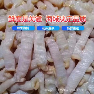 沙虫新鲜鲜活去内脏海人参方格星虫海虫子海肠子200g一盒供应酒店图4