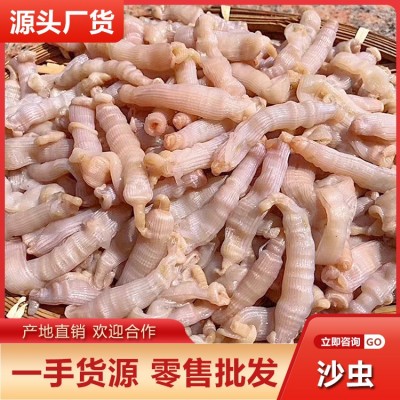 沙虫新鲜鲜活去内脏海人参方格星虫海虫子海肠子200g一盒供应酒店图5