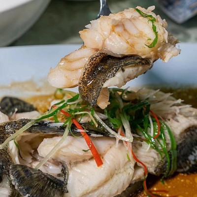 深海老虎斑批发 海捕石斑鱼虎斑现杀活冻高档生鲜海酒店餐饮供应图2