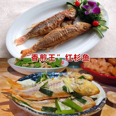 海钓金线鱼红杉鱼海捕鲜活水产批发海鱼冷冻红衫鱼产地直邮图2