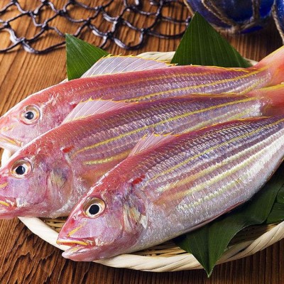 海钓金线鱼红杉鱼海捕鲜活水产批发海鱼冷冻红衫鱼产地直邮图4