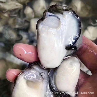 生蚝肉批发新鲜当天现开去壳海鲜水产冷冻海蛎子肉牡蛎肉图4