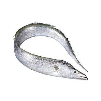 舟山带鱼雷达网新鲜液氮冷冻刀鱼野生油带鱼整条包装工厂整箱批发