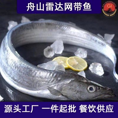 舟山带鱼雷达网新鲜液氮冷冻刀鱼野生油带鱼整条包装工厂整箱批发图5