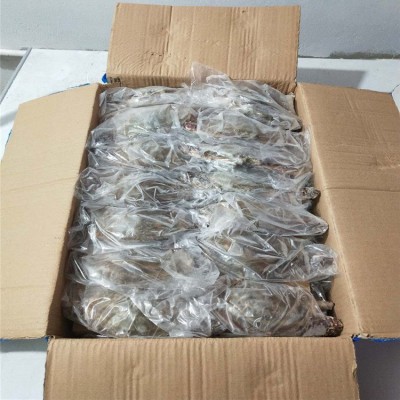 舟山鲜活冻螃蟹月岙流网蟹三疣梭子蟹套袋扎蟹大白蟹公蟹海鲜批发图3