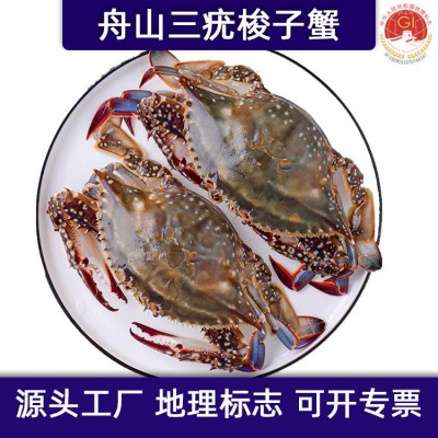 舟山鲜活冻螃蟹月岙流网蟹三疣梭子蟹套袋扎蟹大白蟹公蟹海鲜批发图5