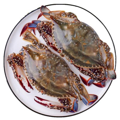 舟山鲜活冻螃蟹月岙流网蟹三疣梭子蟹套袋扎蟹大白蟹公蟹海鲜批发