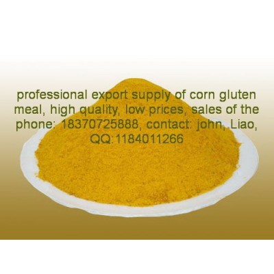 供应玉米蛋白粉