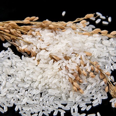 东北长粒香米10斤长粒米20斤装大米2.5kg新米50斤快餐/外卖店批发图3