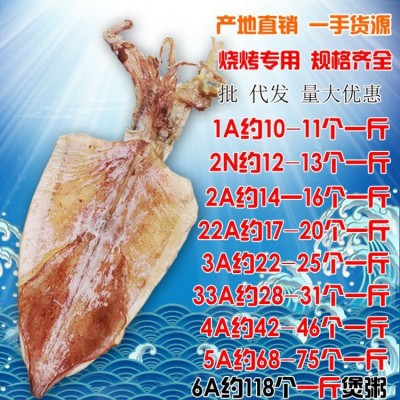 野生海捕烧烤手撕淡干生晒北海鱿鱼干货批发小大尤鱼源头厂家优惠图4