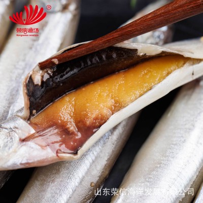 冷冻多春鱼批发满籽母体鲜活速冻海鲜水产多籽多春鱼烧烤食材定制图3