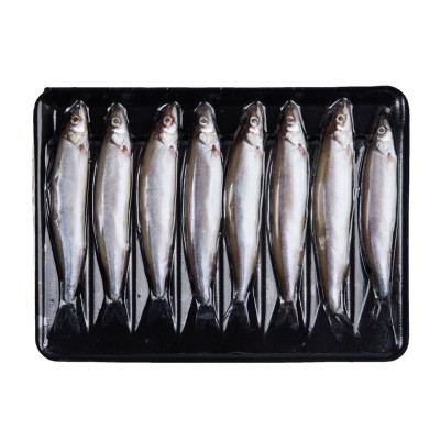 冷冻多春鱼批发满籽母体鲜活速冻海鲜水产多籽多春鱼烧烤食材定制图1