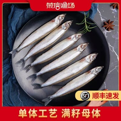 冷冻多春鱼批发满籽母体鲜活速冻海鲜水产多籽多春鱼烧烤食材定制图4