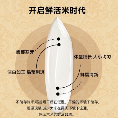 金泰杯泰国香米新米煲仔饭蛋炒饭猫牙米真空包装煮饭大米一斤一袋图2
