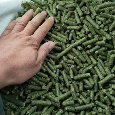 苜蓿草颗粒牛羊马动物园专用饲草紫花苜蓿草颗粒80斤厂家现货包邮图4