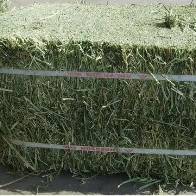 苜蓿草料牛马羊动物园养殖场饲料草料牧草大捆小捆紫花苜蓿草草捆