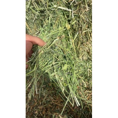 国产紫花苜蓿草草捆牛羊草料饲草 优质草捆小捆 草块 一吨苜蓿草