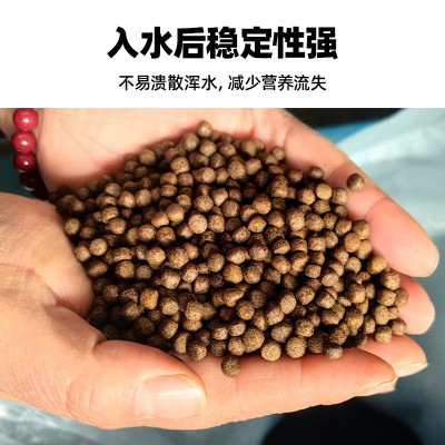 甲鱼饲料 通用颗粒粮巴西龟饲料补钙幼龟陆龟高钙龟粮厂家鳖饲料图3