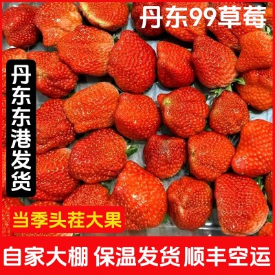 顺丰包邮丹东99草莓红颜九九大草莓当季水果多汁3斤丑果特价图4