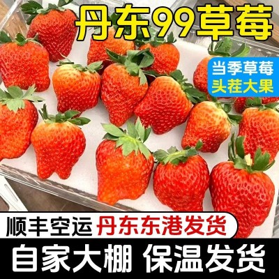 顺丰包邮丹东99草莓红颜九九大草莓当季水果多汁3斤丑果特价图3