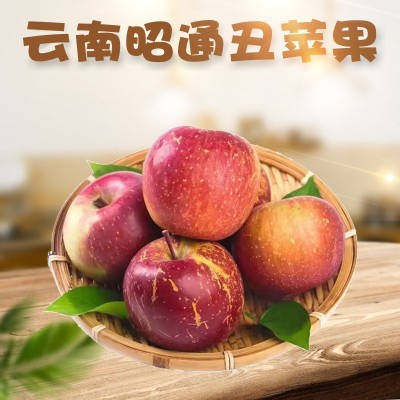 云南昭通冰糖心丑苹果 代发3斤特大果当季脆甜红苹果新鲜孕妇水果图5