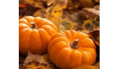 农村老人说南瓜施肥有三怕，怕什么？