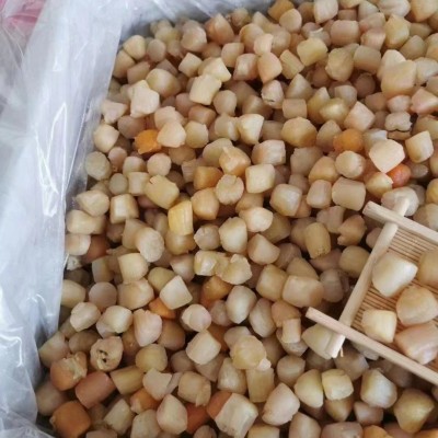 福建东山岛 大干贝 瑶柱干 扇贝肉 海鲜水产干货 食用农产品图2