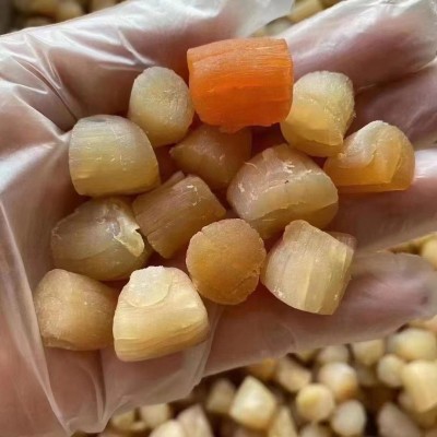 福建东山岛 大干贝 瑶柱干 扇贝肉 海鲜水产干货 食用农产品图3