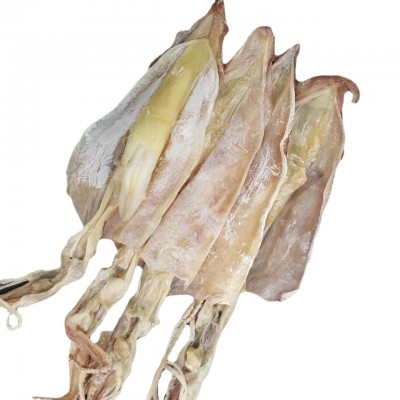 福建东山岛 鱿鱼母 鱿鱼干 枪鱿鱼干 海鲜水产干货 食用农产品