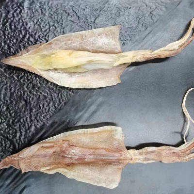 福建东山岛 鱿鱼母 鱿鱼干 枪鱿鱼干 海鲜水产干货 食用农产品图2