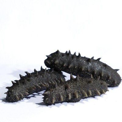 大连底播中火半干海参盐渍海参批发辽参餐饮专供