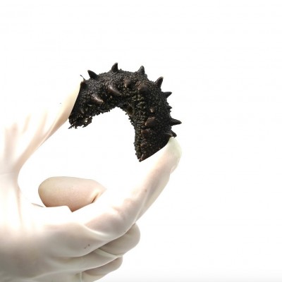 大连中火半干海参盐渍海参批发辽参餐饮专供