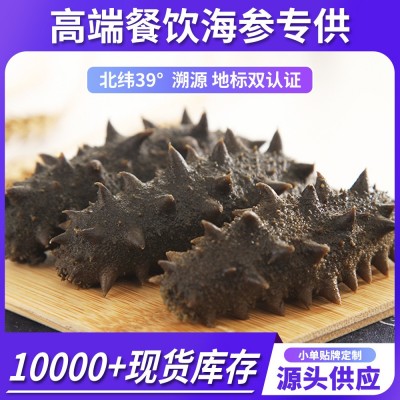 大连中火半干海参盐渍海参批发辽参餐饮专供图5