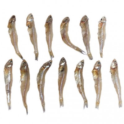 新产品淡干公鱼干淡干海公鱼干小鱼仔海鲜干货公干鱼干美味小鱼干