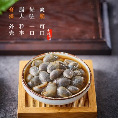 醉泥螺鲜活腌制正宗野生黄泥螺 生呛海鲜个大无沙爽脆凉菜下饭菜图4