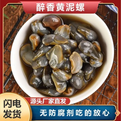 醉泥螺鲜活腌制正宗野生黄泥螺 生呛海鲜个大无沙爽脆凉菜下饭菜图5
