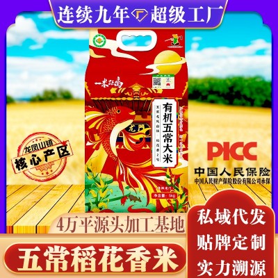 25年特等新米五常大米龙凤山稻花香米5斤10斤东北长粒大米5kg一袋图5