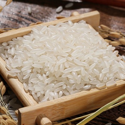 批发零售厂家直供陕西汉中2025年新香米大米新米大米长粒香米10kg