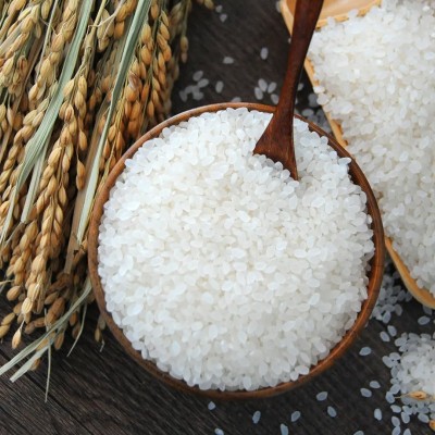 批发零售厂家东北珍珠米当季米珍珠米圆粒香米家用煮饭煲10公斤图3