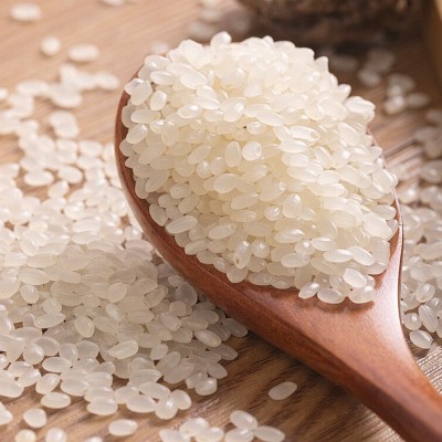 批发零售厂家东北珍珠米当季米珍珠米圆粒香米家用煮饭煲10公斤图4