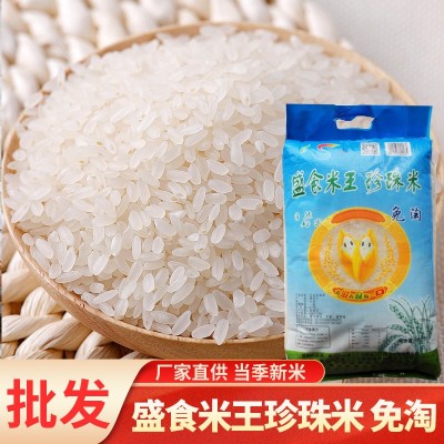批发零售厂家东北珍珠米当季米珍珠米圆粒香米家用煮饭煲10公斤图5
