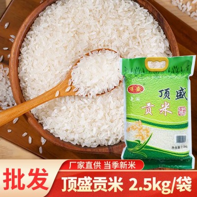 批发零售厂家直供贡米5斤长粒香新米2.5kg煲仔饭长粒米家用商用图5