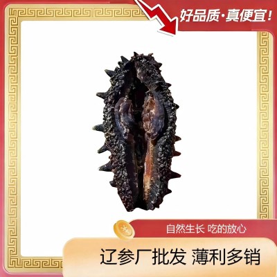 大连国标淡干海参一件代发礼品采购电商私域供应链开口