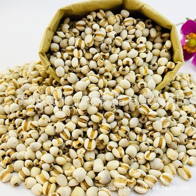 太仆晒谷场有机薏仁米 五谷杂粮粗粮真空包装 有机薏仁米（400g×